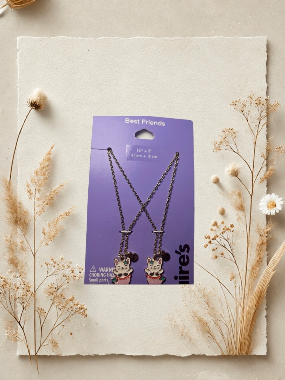 Claire's Best Friends Necklace Duo